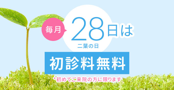 毎月28日は初診料無料